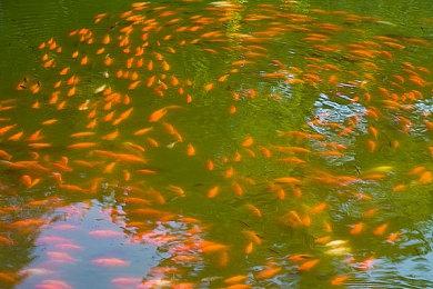 赛博朋克侦探游戏《骇游侠探》 将于7月1日登陆Switch平台