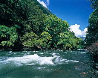 《生化危机》系列Steam特卖 多款作品新史低优惠